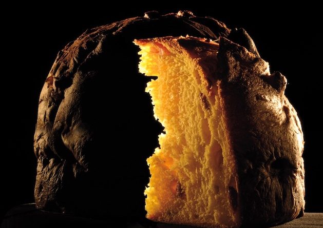 your christmas panettone