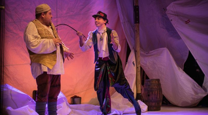 La commedia degli errori