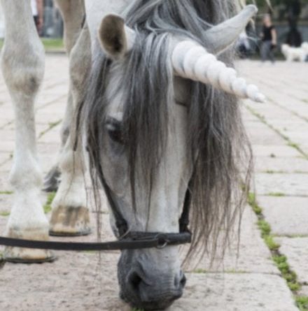 Unicoro al Parco Sempione