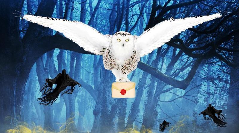 Escape room Milano Wizard Academy Magic