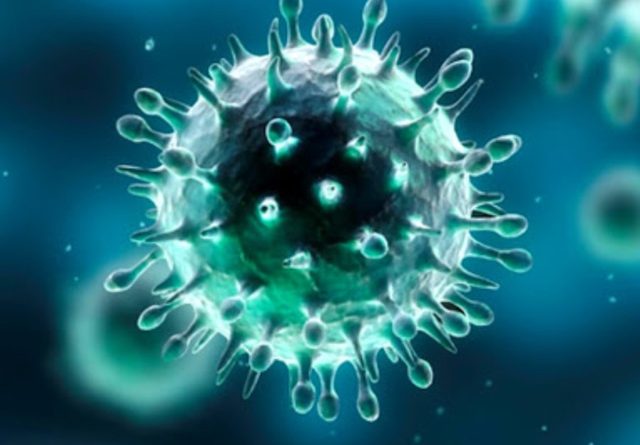 coronavirus