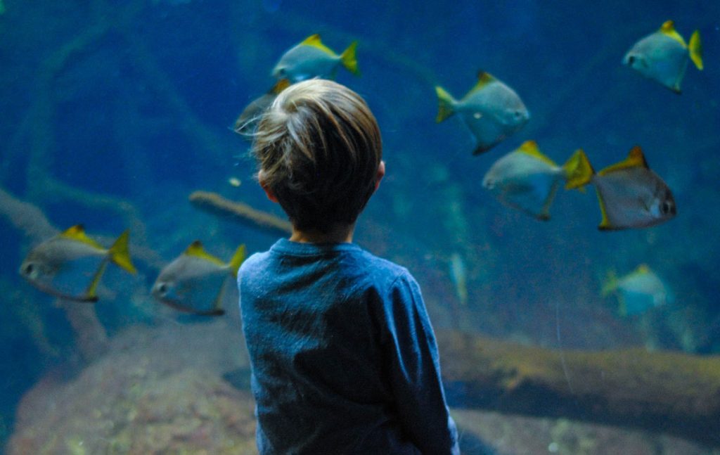 acquario civico Milano