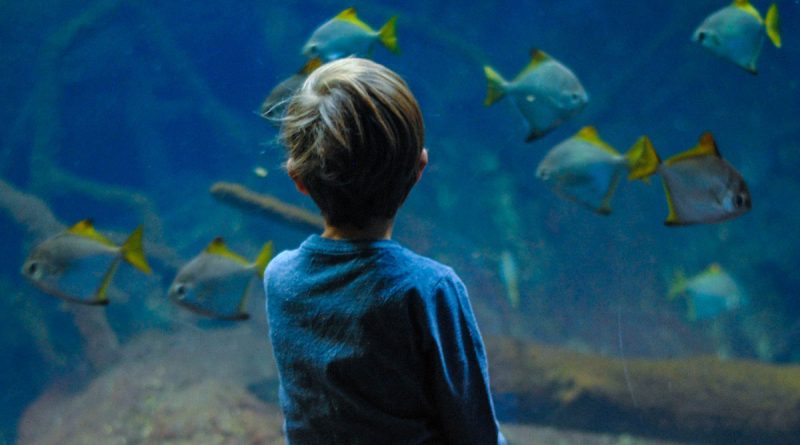 acquario civico Milano