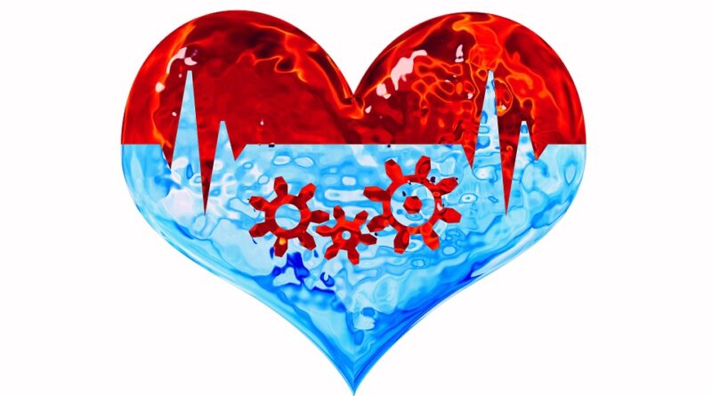 cuore ph pixabay