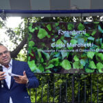 Milano si aggiudica 2 milioni e trecentomila euro per piantare oltre 30 mila alberi