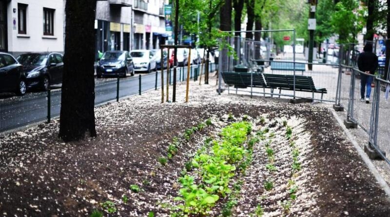 riqualificazione via Pacini - ph comune Milano