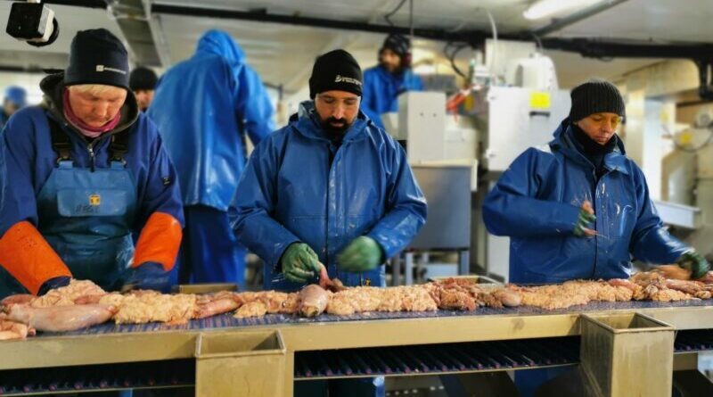 Festa Bacala immagine dal sito ufficiale evento Sandrigo