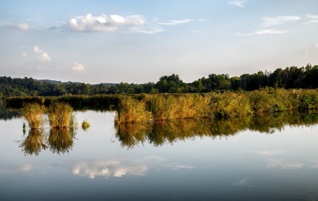 torbiere sebino biodiversità ph regione lombardia