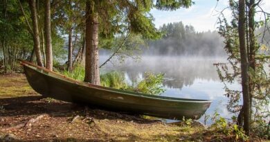 Il fascino dei laghi finlandesi: natura, sauna e cottage sul Saimaa