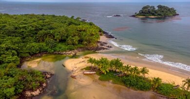 Banana Islands: Un angolo di paradiso tropicale della Sierra Leone