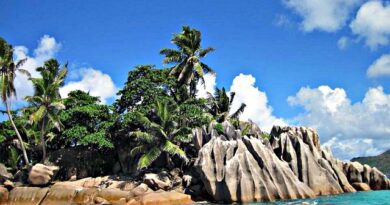 Praslin: tra mare e foresta di Vallée de Mai