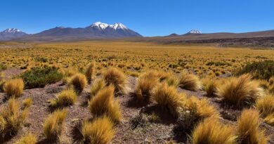 Atacama, il deserto che tocca il cielo