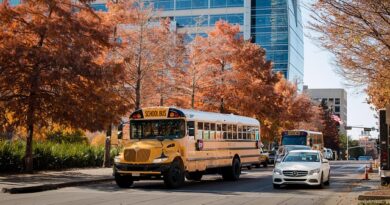 Dalla prateria al ranch: un’avventura nel Texas rurale