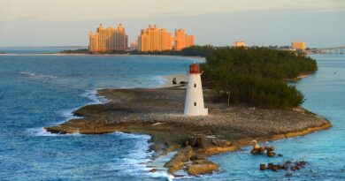 Exuma, dove nuotano i celebri maialini: un fenomeno turistico unico
