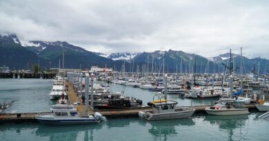 Alaska, Glacier Bay: il regno del ghiaccio che respira