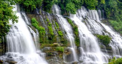 Great Smoky Mountains: il tesoro naturale del Tennessee