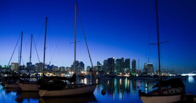Il mare come protagonista: cosa vedere lungo la costa di San Diego