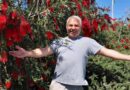 Callistemon Speciosus: una guida completa ad una pianta straordinaria
