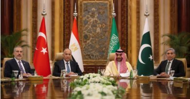Verso un asse sunnita di sicurezza: la bozza di un nuovo equilibrio nel “quadrante arabo”