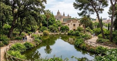 Il Giardino Botanico Storico di Montjuïc: un angolo segreto tra natura, storia e silenzio nel cuore di Barcellona