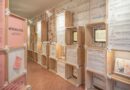Milano, i quaderni dei bambini diventano una lezione di storia: il Museo riapre i laboratori per le scuole Milano, i quaderni dei bambini diventano una lezione di storia: il Museo riapre i laboratori per le scuole