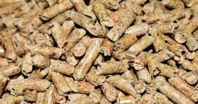 Stufa a pellet: quanto costa davvero e come contenere la spesa